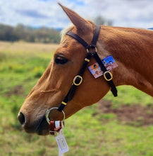Load image into Gallery viewer, TOPRAIL NYLON BRIDLE
