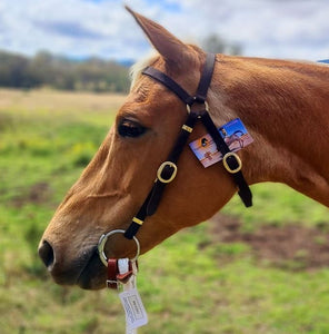 TOPRAIL NYLON BRIDLE
