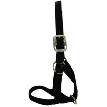 Load image into Gallery viewer, NYLON CATTLE HALTER
