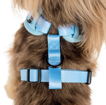 Load image into Gallery viewer, Pablo &amp; Co Adjustable Harness
