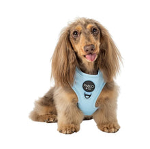 Load image into Gallery viewer, Pablo &amp; Co Adjustable Harness
