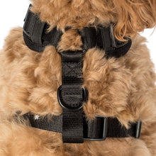Load image into Gallery viewer, PABLO &amp; CO ADJUSTABLE HARNESS
