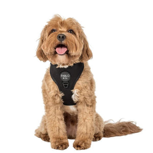 PABLO & CO ADJUSTABLE HARNESS