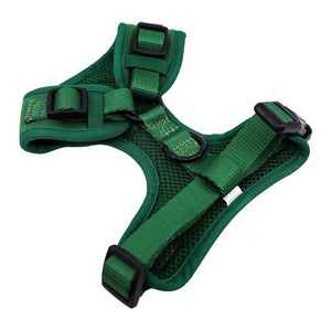Pablo & Co Adjustable Harness