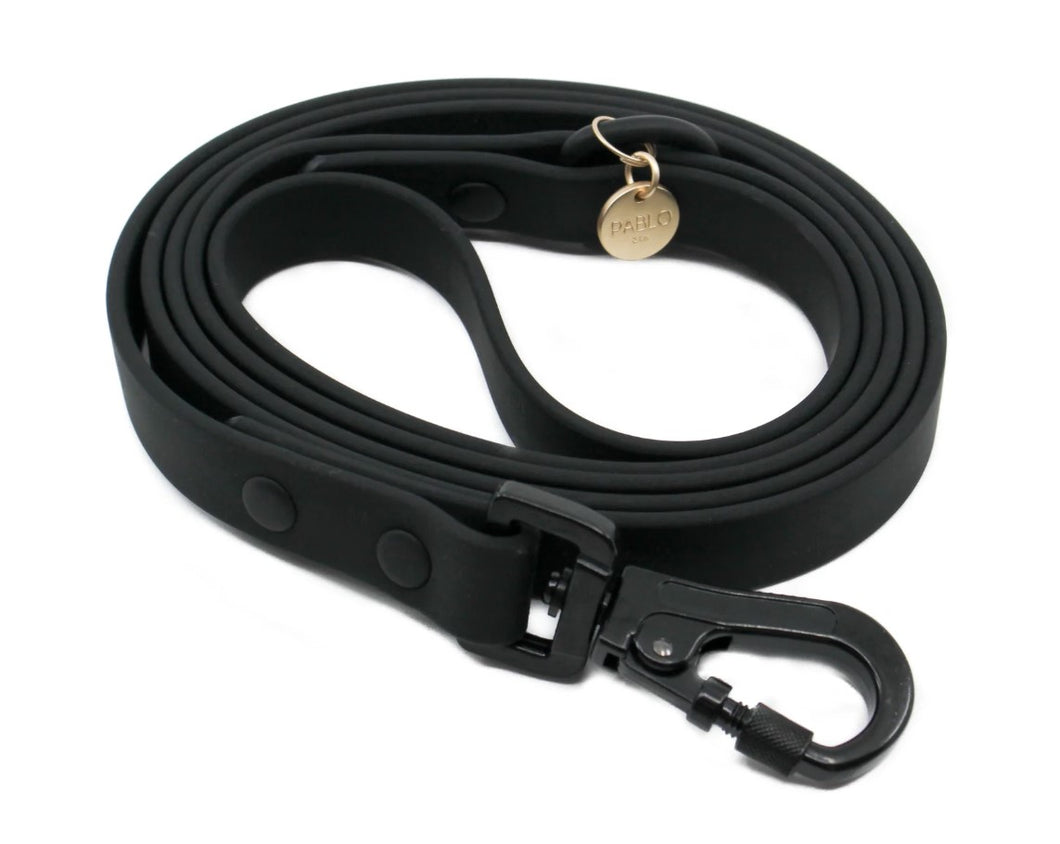 PABLO & CO WATERPROOF LEAD