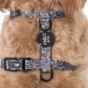 PABLO & CO BLACK & GREY LEOPARD STRAP HARNESS