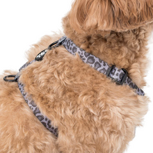 Load image into Gallery viewer, PABLO &amp; CO BLACK &amp; GREY LEOPARD STRAP HARNESS
