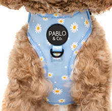 Load image into Gallery viewer, PABLO &amp; CO BLUE DAISY ADJUSTABLE HARNESS
