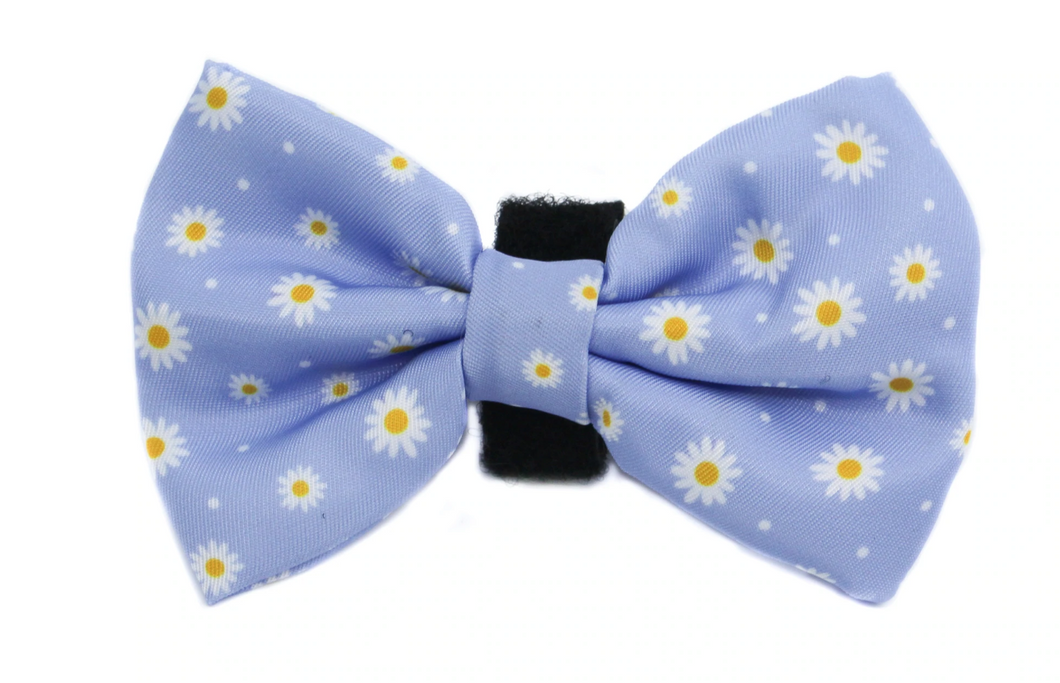 PABLO & CO BLUE DAISY BOW TIE