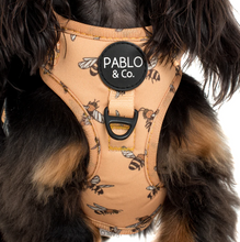 Load image into Gallery viewer, Pablo &amp; Co Bumblebee Adjustable Harness
