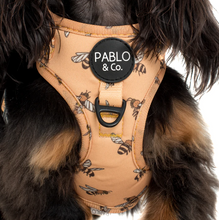 Load image into Gallery viewer, PABLO &amp; CO BUMBLEBEE ADJUSTABLE HARNESS
