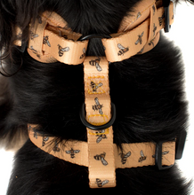 Load image into Gallery viewer, PABLO &amp; CO BUMBLEBEE ADJUSTABLE HARNESS
