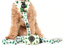 Load image into Gallery viewer, PABLO &amp; CO CACTUS POOP BAG
