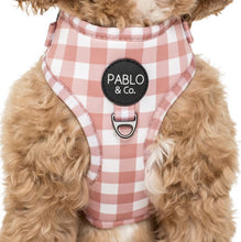 Load image into Gallery viewer, Pablo &amp; Co Chocolate Gingham Adjustable Harness
