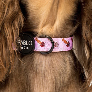 PABLO & CO DACHSHUND & WINE COLLAR