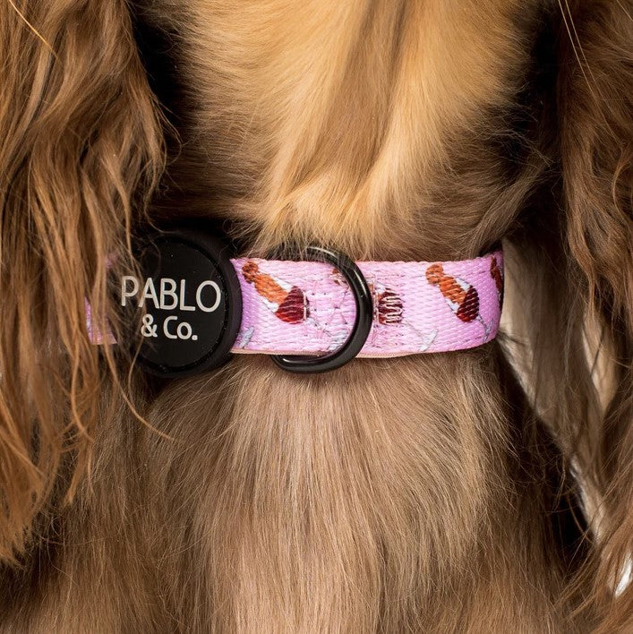 PABLO & CO DACHSHUND & WINE COLLAR