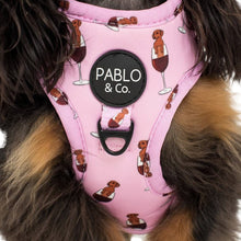 Load image into Gallery viewer, Pablo &amp; Co Dachshunds &amp; Wine Adjustable Harness
