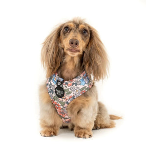 Pablo & Co Grandmas Garden Adjustable Harness