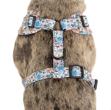 Load image into Gallery viewer, Pablo &amp; Co Grandmas Garden Adjustable Harness
