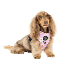 Load image into Gallery viewer, Pablo &amp; Co Smiley Flowers Adjustable Harness

