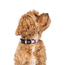 Load image into Gallery viewer, Pablo &amp; Co Lilac Smiley Flowers Collar
