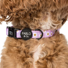 Load image into Gallery viewer, Pablo &amp; Co Lilac Smiley Flowers Collar
