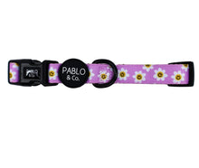 Load image into Gallery viewer, Pablo &amp; Co Lilac Smiley Flowers Collar
