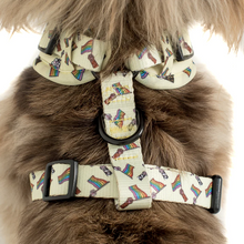 Load image into Gallery viewer, PABLO &amp; CO LOVE IS LOVE ADJUSTABLE HARNESS
