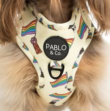 Load image into Gallery viewer, PABLO &amp; CO LOVE IS LOVE ADJUSTABLE HARNESS
