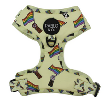 Load image into Gallery viewer, PABLO &amp; CO LOVE IS LOVE ADJUSTABLE HARNESS
