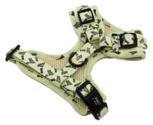 Load image into Gallery viewer, PABLO &amp; CO LOVE IS LOVE ADJUSTABLE HARNESS
