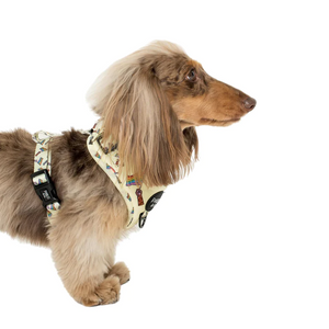 PABLO & CO LOVE IS LOVE ADJUSTABLE HARNESS