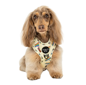 PABLO & CO LOVE IS LOVE ADJUSTABLE HARNESS