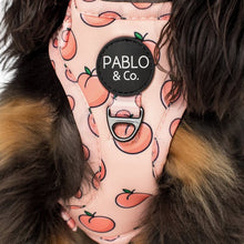 Load image into Gallery viewer, Pablo &amp; Co Peaches &amp; Cream Adjustable Harness
