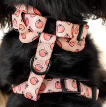Load image into Gallery viewer, Pablo &amp; Co Peaches &amp; Cream Adjustable Harness
