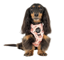 Load image into Gallery viewer, Pablo &amp; Co Peaches &amp; Cream Adjustable Harness
