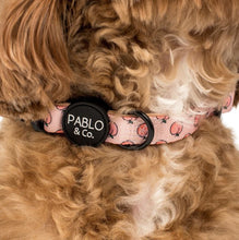 Load image into Gallery viewer, Pablo &amp; Co Peaches &amp; Cream Collar
