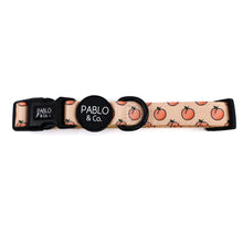 Load image into Gallery viewer, Pablo &amp; Co Peaches &amp; Cream Collar
