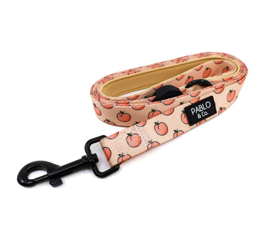 PABLO & CO PEACHES & CREAM DOG LEASH