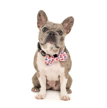 Load image into Gallery viewer, Pablo &amp; Co Pink Rainbows Bow Tie
