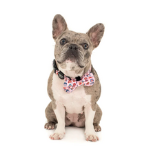 Load image into Gallery viewer, PABLO &amp; CO PINK RAINBOWS BOW TIE
