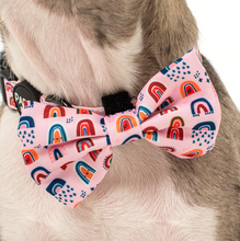 Load image into Gallery viewer, Pablo &amp; Co Pink Rainbows Bow Tie
