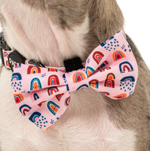 Load image into Gallery viewer, PABLO &amp; CO PINK RAINBOWS BOW TIE
