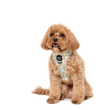 Load image into Gallery viewer, Pablo &amp; Co Smiley Flowers Adjustable Harness
