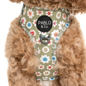 PABLO & CO SMILEY FLOWERS ADJUSTABLE HARNESS