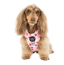 Load image into Gallery viewer, PABLO &amp; CO STRAWBERRY FIELDS ADJUSTABLE HARNESS
