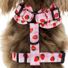 Load image into Gallery viewer, PABLO &amp; CO STRAWBERRY FIELDS ADJUSTABLE HARNESS
