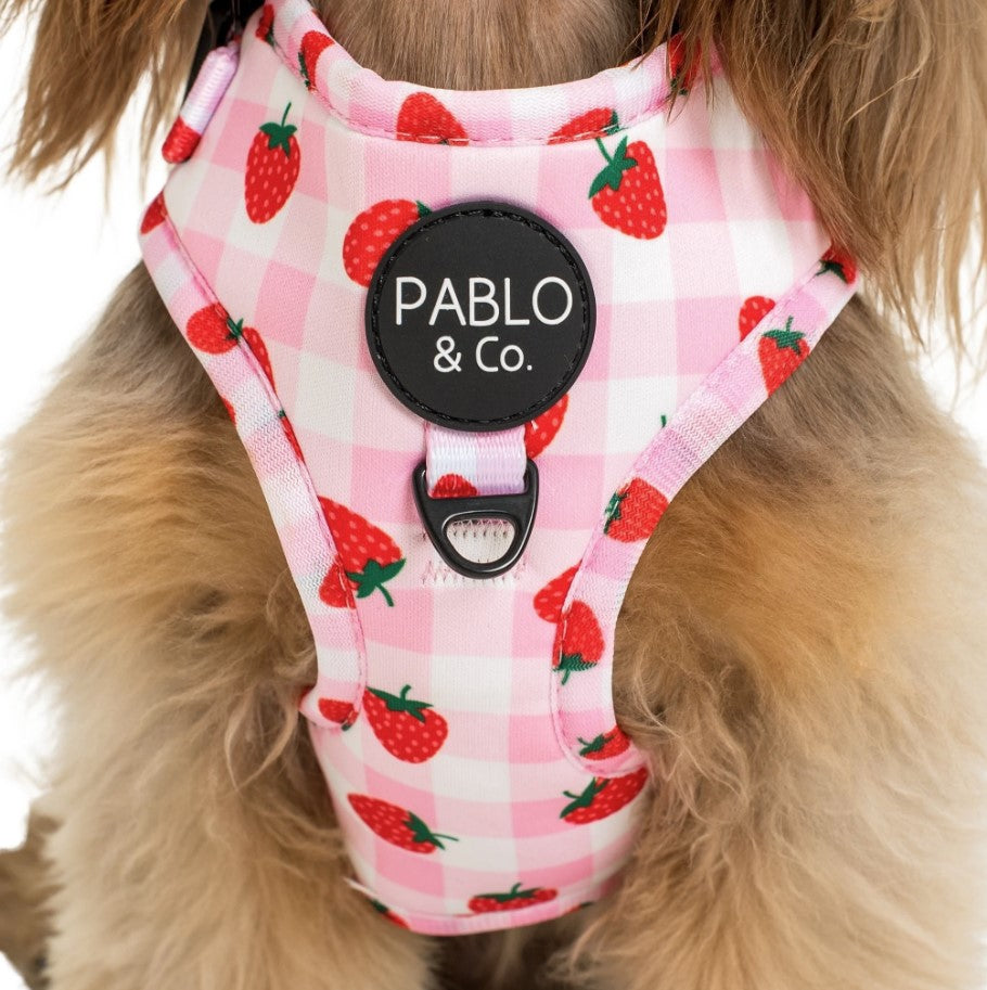 PABLO & CO STRAWBERRY FIELDS ADJUSTABLE HARNESS