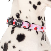 Load image into Gallery viewer, Pablo &amp; Co Strawberry Fields Collar
