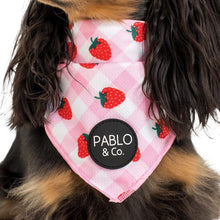 Load image into Gallery viewer, PABLO &amp; CO STRAWBERRY FIELDS BANDANA
